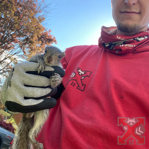 Technician Holding a Squirrel